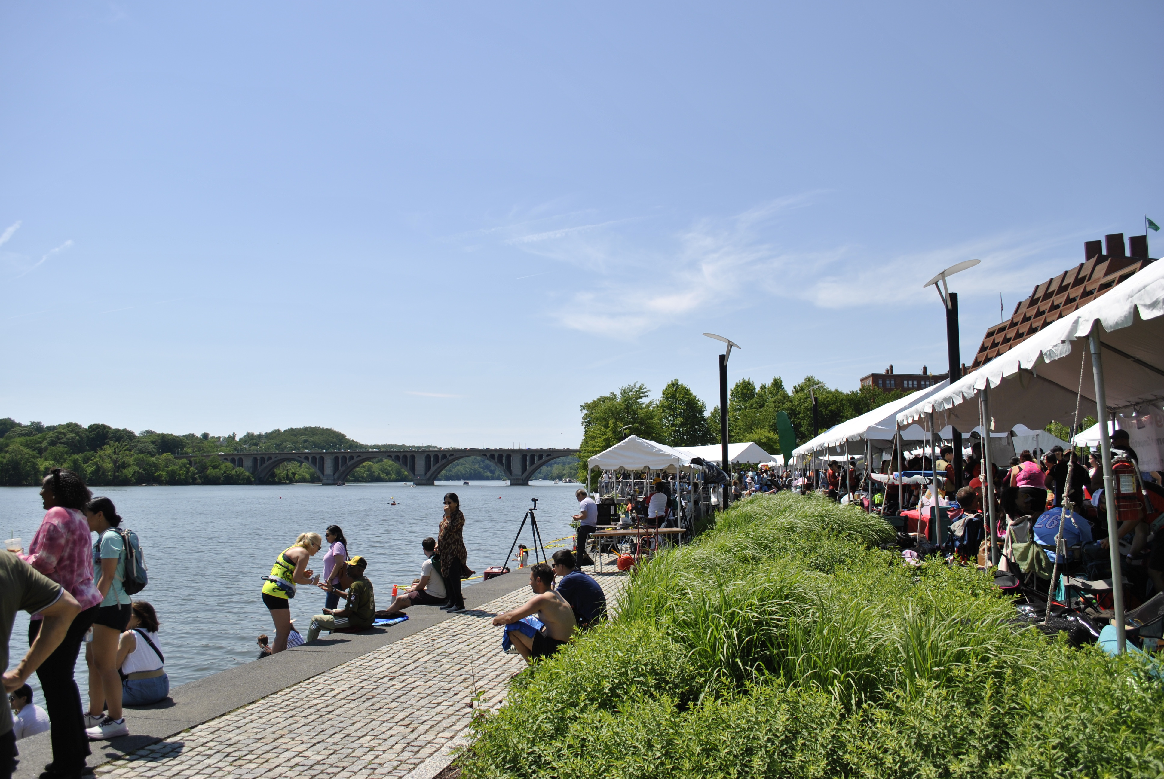 DC Dragon Boat Festival at Georgetown Waterfront Park